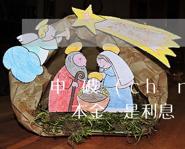申報破產(chǎn)債權(quán)是報本金還是利息？